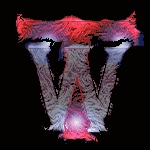 best taste, websites award