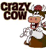 crazy cow