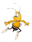 Huneynut Bee