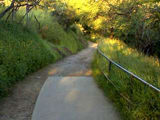 Paved and Unpaved Path