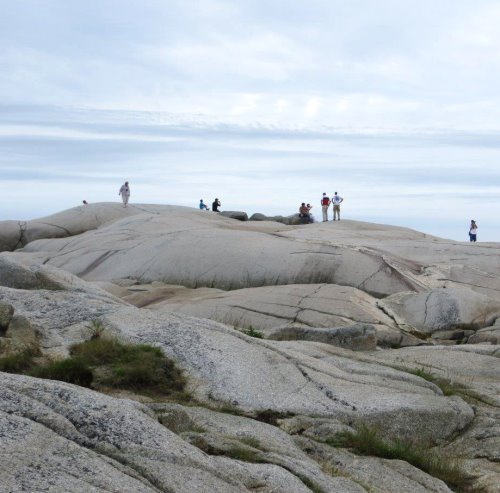 Peggy's Cove Rocks