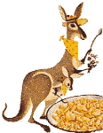Katy Kangaroo